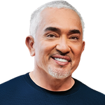 Cesar Millan